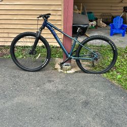 Liv Mountain Bike New But 1 Flat Tire And Bin In A Crash