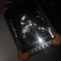 Diagnostic Maximus 3.0  