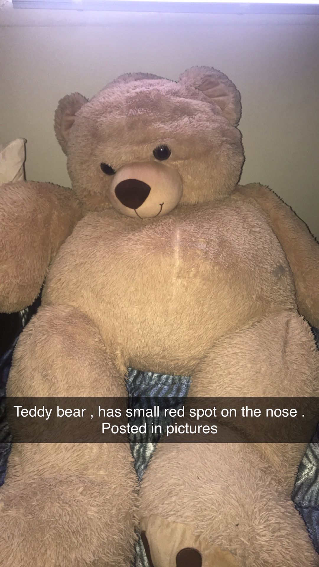 Teddy bear !