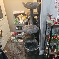 Cat Tower 
