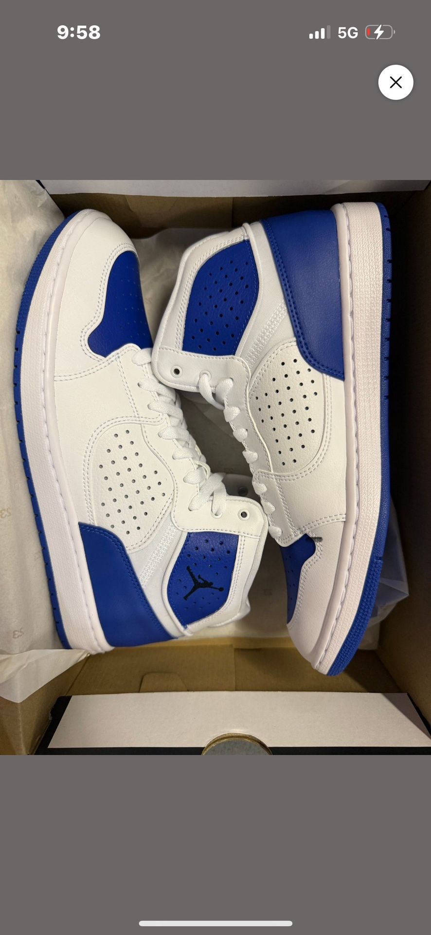 Air Jordan Access Game Royale White Size 11