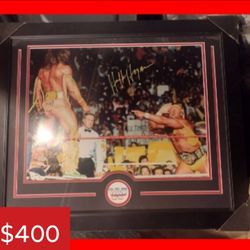 Hulk Hogan Autograph 16x20 Photo In Frame with JSA Certificate