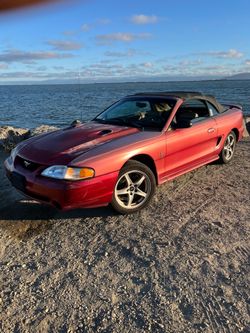 1998 ford mustang svt cobra