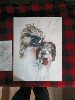 Philippine Eagle painting by Jim Sargent