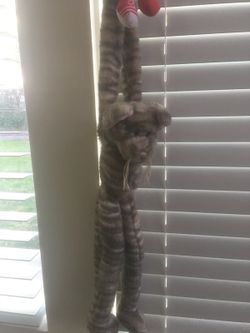 Adorable Stretch Arms Tiger
