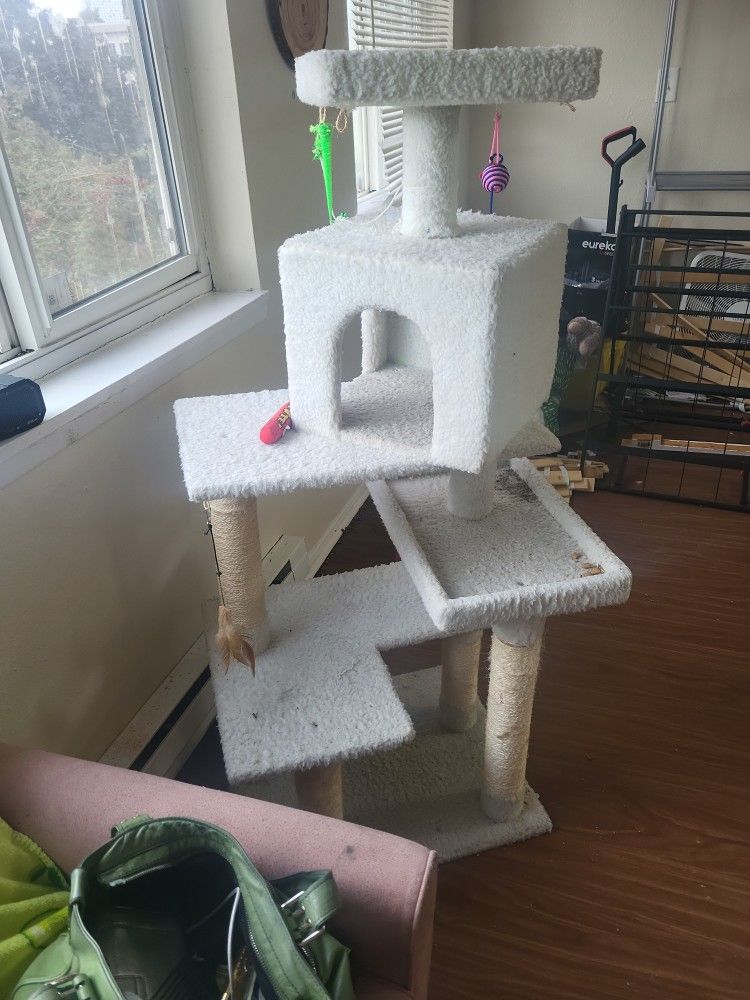 CAT TREE CONDO