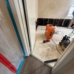 Water Damage / Mold 