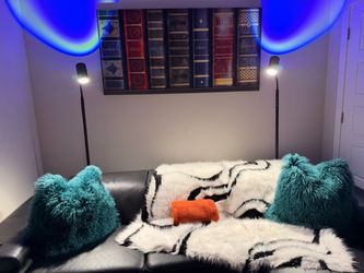 Moving Out of State Sale - Sectional Sofas, Standing Desk, Monitors, Rugs, Art + More