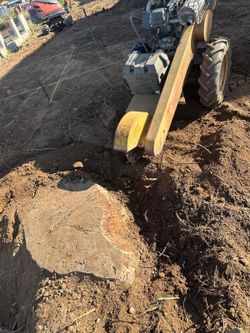 Stump grinding