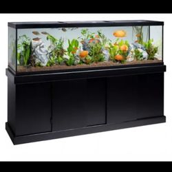 70 Gallon Fish Tank With Stand