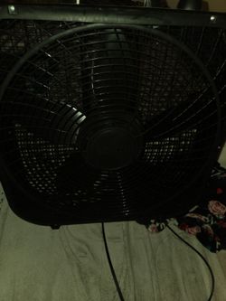 Fan