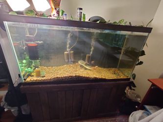 90 Gallon Aquarium/Fish Tank