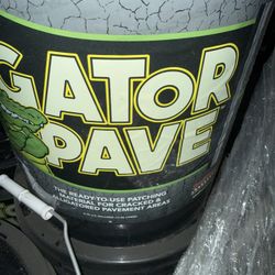 Gator Patch
