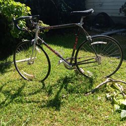 Giant Cadex 980 C Bike