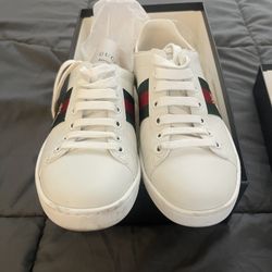 Gucci Ace Bee Sneaker (authentic)