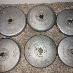 Weights 