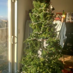 Christmas Tree 6 1/2 Ft