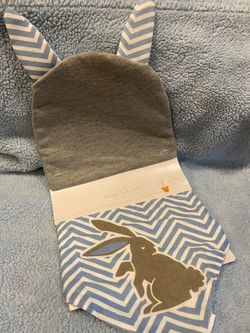 Bunny Baby Beanie/hat and Bib set