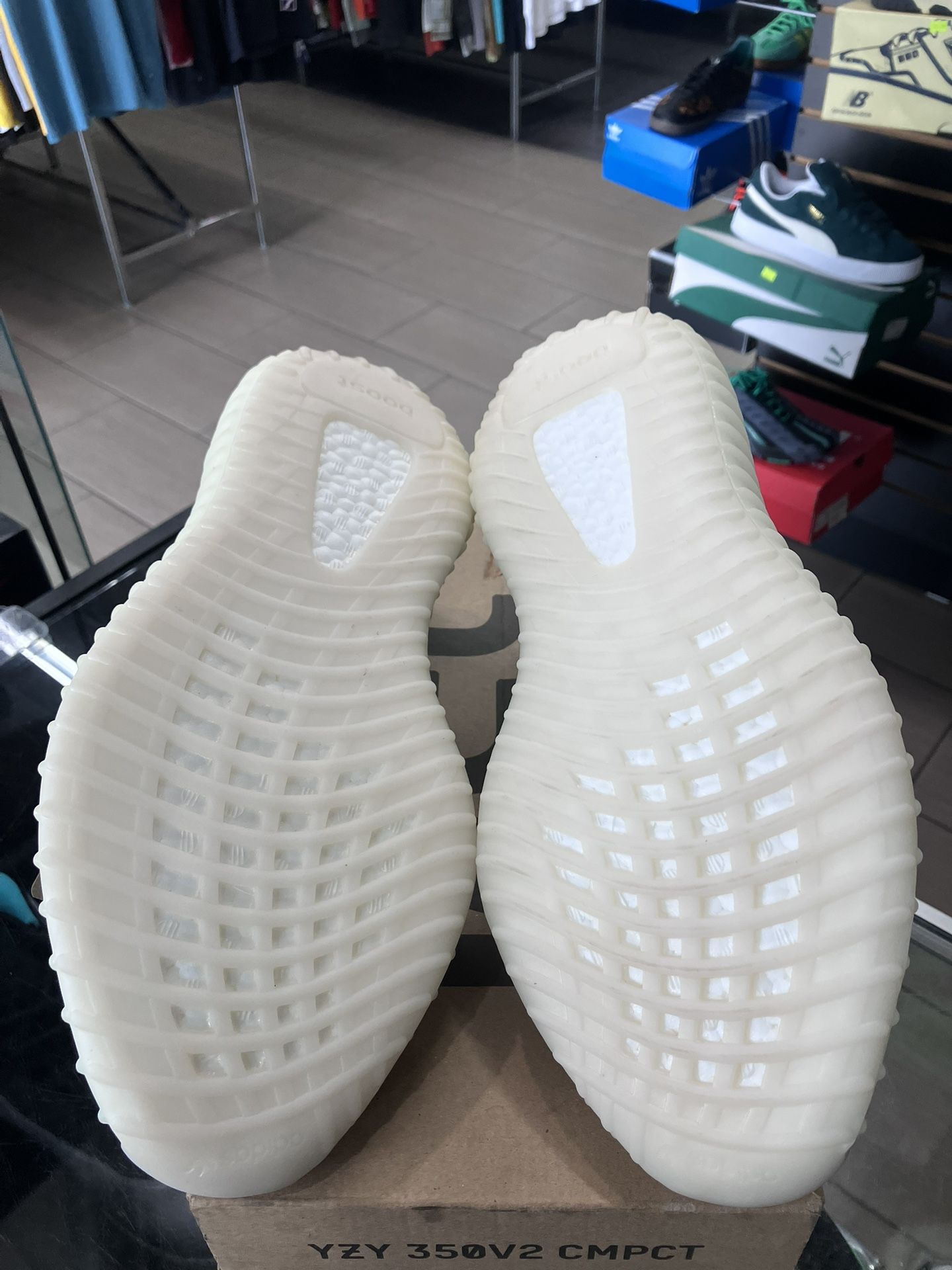 Adidas Yeezy 350 V2 CMPCT Slate Panda main image 1