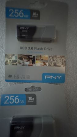 256 GB USB 3.0 Flash Drive 4 Total 