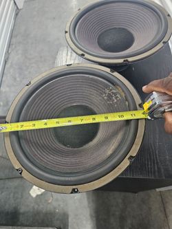Vintage woofer removed from avid model 125