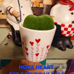 Hoya HEART!!  PLANT SALE TODAY SATURDAY IN SAN LORENZO STARTS AT NOON