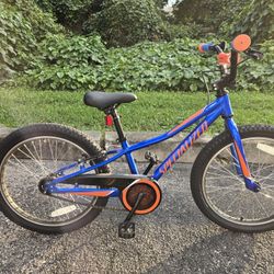 Specialized Rip Rock 20 Inch Bike 