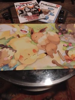 Sleeping Pokemon Playmat