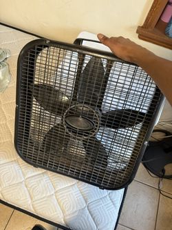 Box Fan