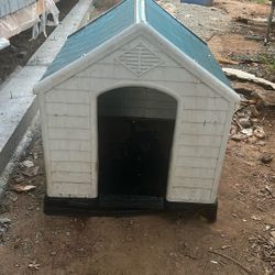 Dog House