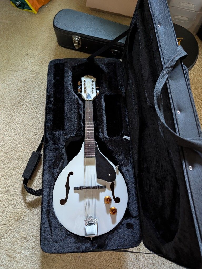 Washburn Mandolin Acoustic/Electric