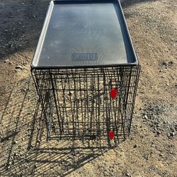 Kong Dog Crate