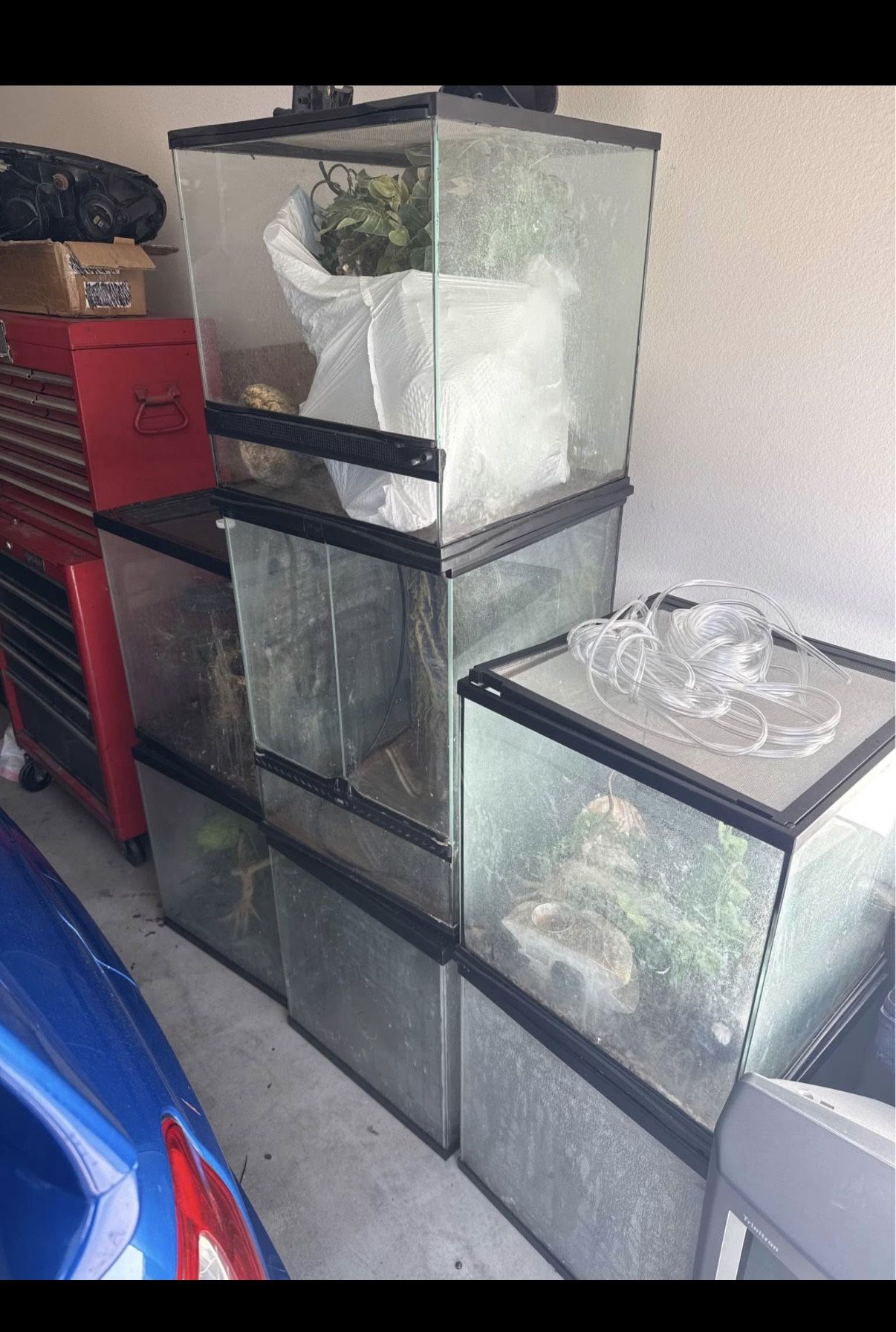 6 18x18x18 zilla $100 each