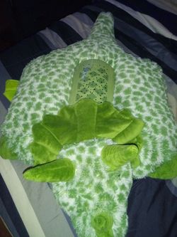 Pillow pet