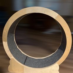 Wheel For Cats 