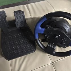 Thrustmaster T150 (with optional homemade rig)
