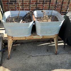 Reeves Galvanized Double Washtub Used As Planter