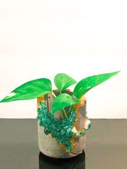 Cement Green Crystal Planter | Gold Air Plant Holder | Industrial Cement Small Plant Pot | Succulent Pot With Glass Crystals