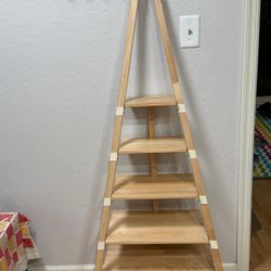 Organizer/ Storage Decorative shelf