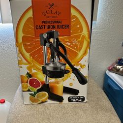 Professional CAST ITON JUCIER