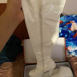 BRAND NEW OUT THE BOX PLEASERS BOOTS.