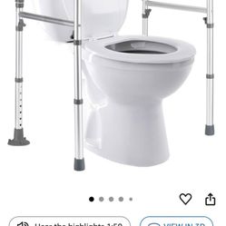 Toilet Safety Rail