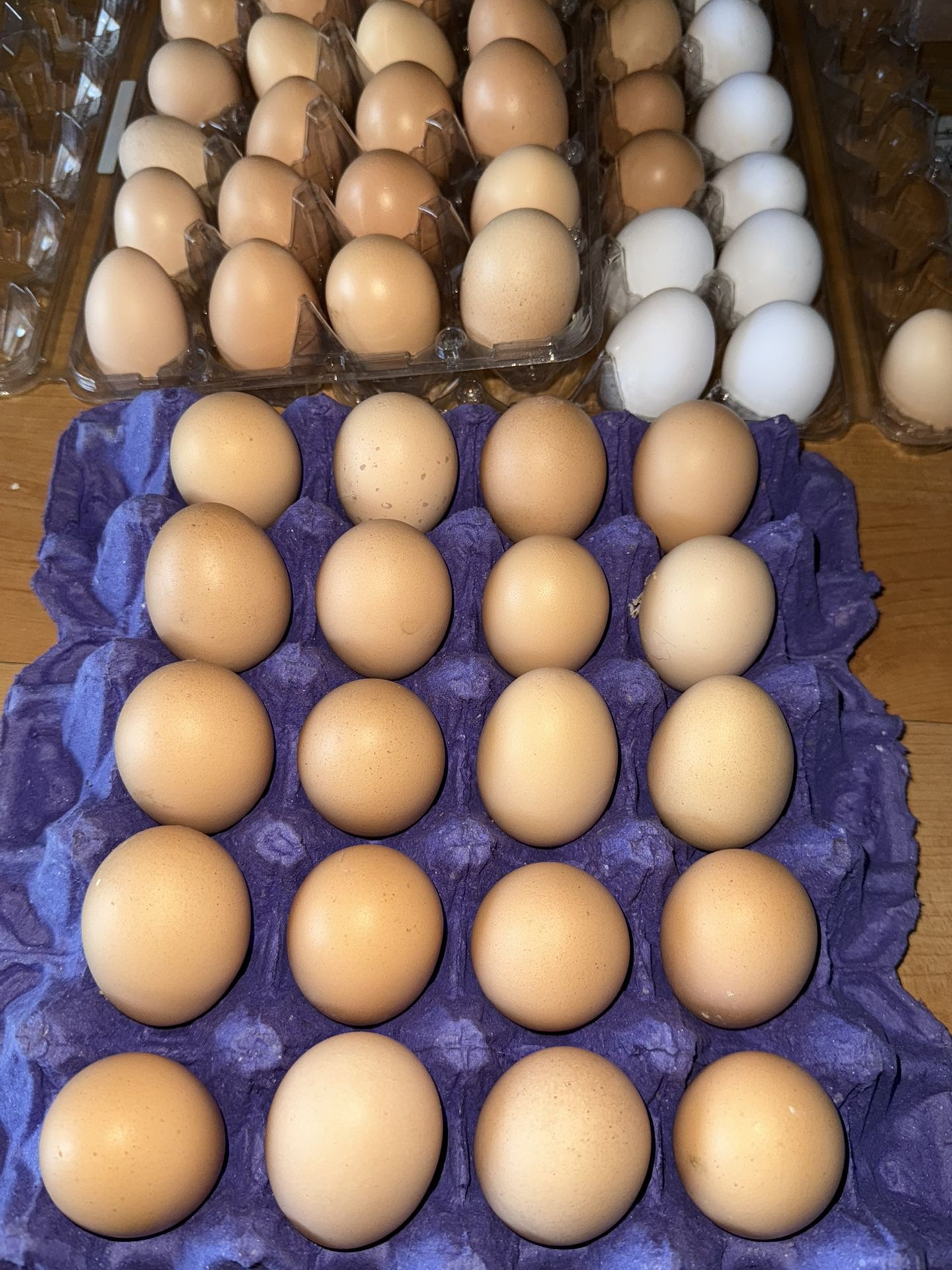 Eggs