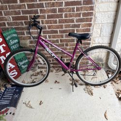 Parowan Next - 15 speed bicycle