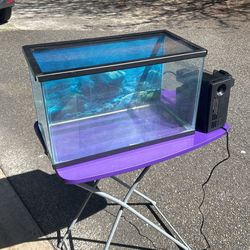Fish Tanks And Water Filtration