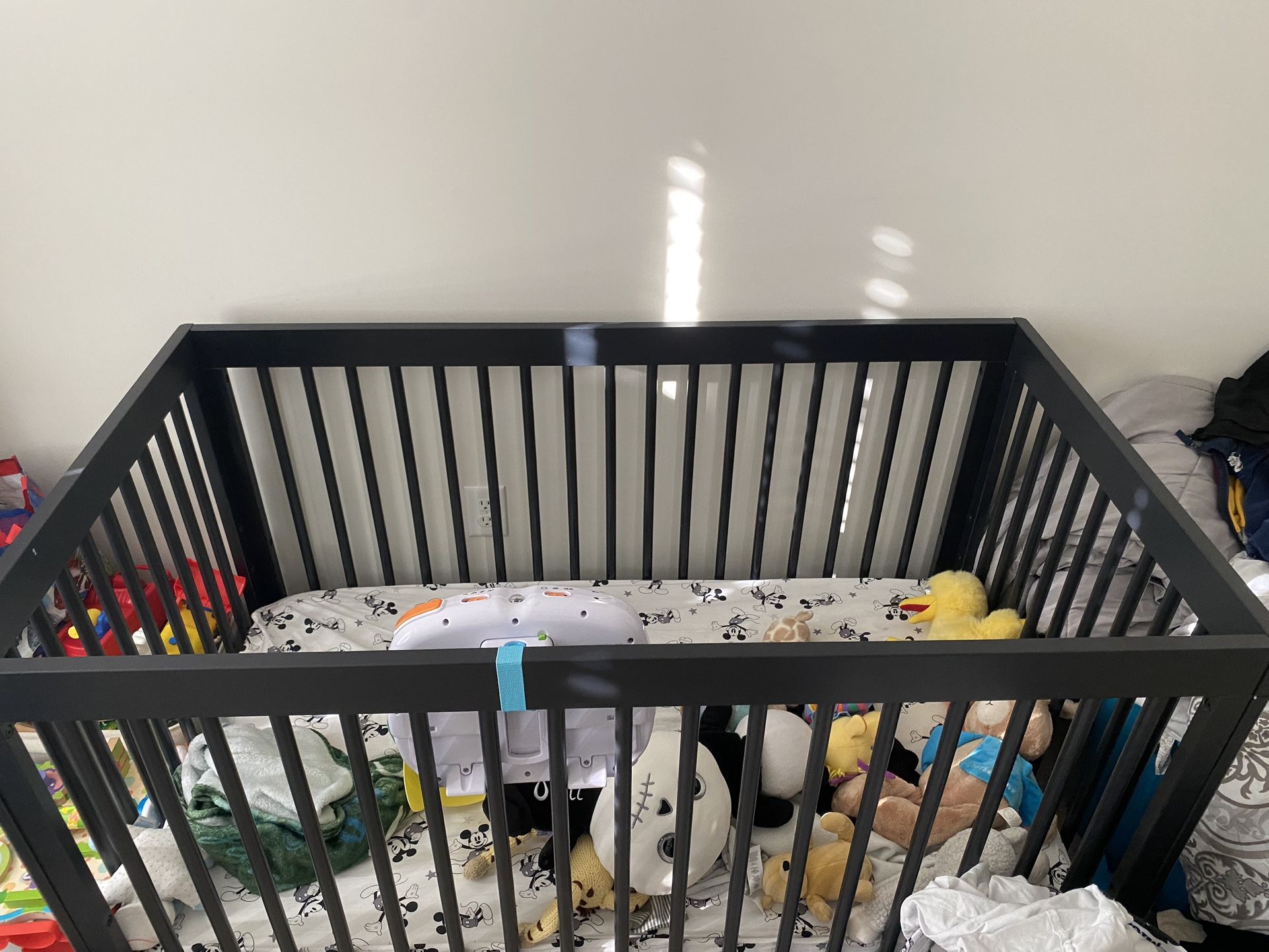 Crib Turns Into Bed And Sofa