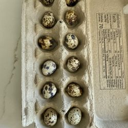 Quail Eggs Organic Dozen 