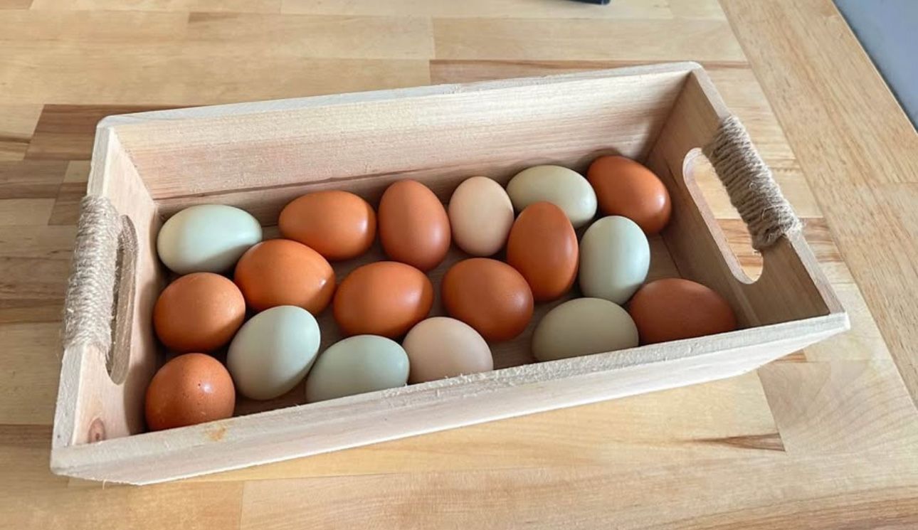 Fresh Organic Eggs