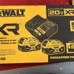 Dewalt Battery Set