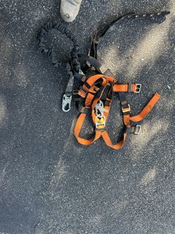Harness